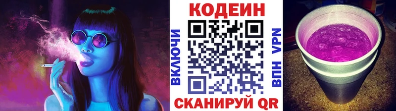 Купить закладки  Нерчинск  Кодеиновый сироп Lean Purple Drank 