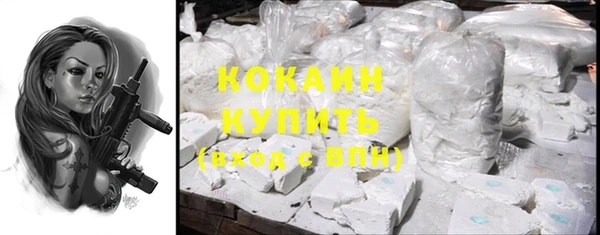 крисы Медвежьегорск