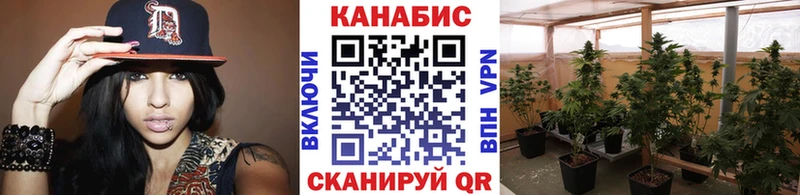 Каннабис конопля Нерчинск